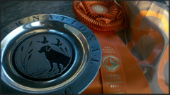 AKC Master National Awards