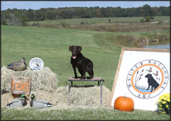 Hope at 2012 AKC Master National