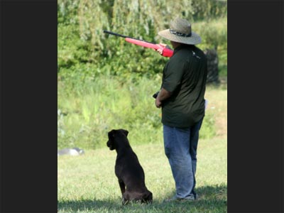 Hope in training