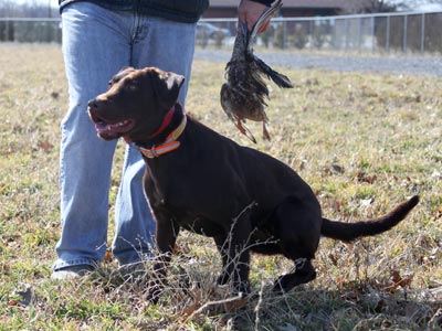 Hope in training