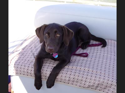 Hope labrador weekend boat trip